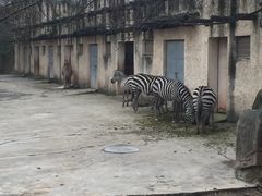 -南昌动物园