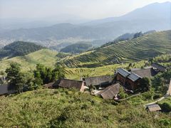 -紫鹊界梯田景区