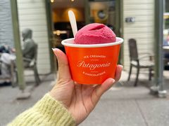 -Patagonia Chocolates(皇后镇店)