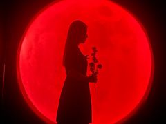 -苏州5D星空错觉艺术馆