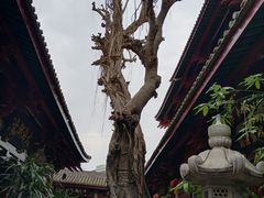 -叩齿古寺