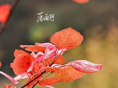 -云峰山自然风景区