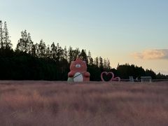 -嘉北郊野公园