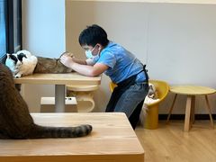 -有喵·猫咖·狗咖·40+猫狗有小奶狗(岗厦店)