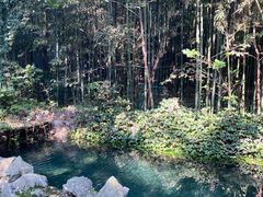 -四门塔风景区