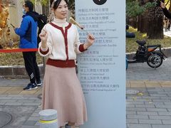 -三里屯东五街银杏大道