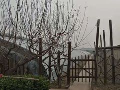 -呀路古热带植物园