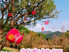 -云溪植物园