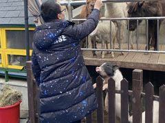 -上海崇明金茂凯悦酒店