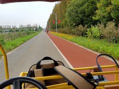 -上海长兴岛郊野公园