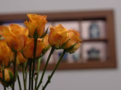 -沐春秋茶书院·茶室.茶馆.商务包房(知春路店)