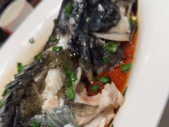 -老城根·潍坊菜(高新店)