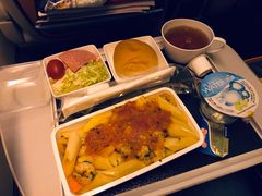 -新加坡航空公司(ION)