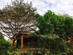 -碧桂园润杨溪谷温泉酒店