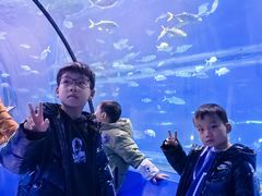 -重庆欢乐海底世界