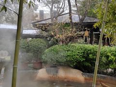 -西安国际创新人才交流中心•药浴温泉