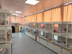 -翊宠yipet猫狗购宠庄园犬舍•猫舍