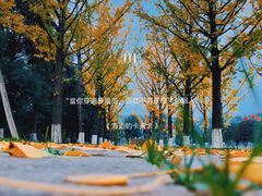 -重庆中央公园(渝北区)