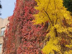 -辽宁大学(崇山校区)