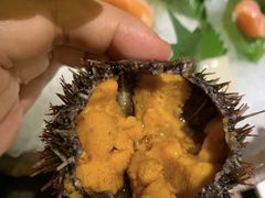 -割烹旭日本料理(龙湖狮山天街店)