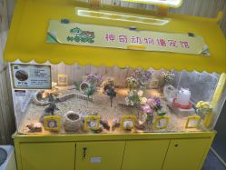 -神奇动物撸宠馆·羊驼·小浣熊·异宠(豫园店)