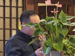 -巴依老爷新疆美食(常营店)