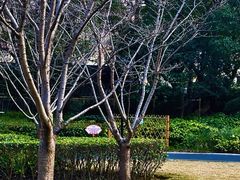 -徐家汇源景区-衡山公园