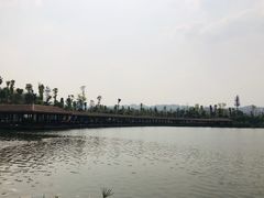 -枫香湖儿童公园