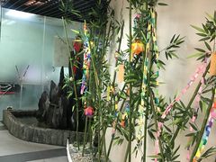 -樱花国际日语(徐家汇中心)