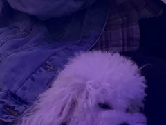 -金矿KTV(新会店)