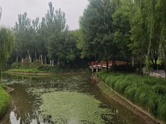 -北坞公园