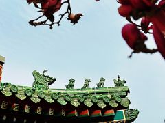 -天津大悲禅院