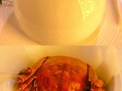 -淮扬府·游园京梦(北京SKP店)