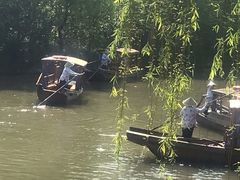 -溱湖国家湿地公园