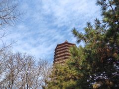 -玲珑塔公园