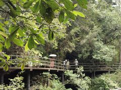 -石台牯牛降景区