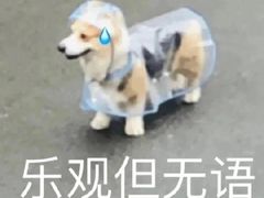 -南京医科大学第二附属医院(姜家园院区)