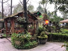 -青城甲(青城山店)