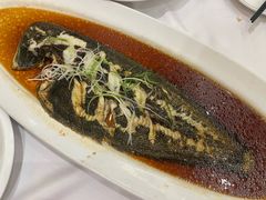 清蒸舌鳎鱼-金三杯酒家(泉城路店)