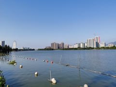 -飞来湖湿地公园