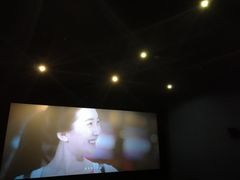 -嘉华国际影城(学清路店)