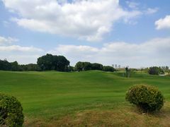 -银涛高尔夫练习场(徐泾店)