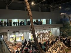 -自贡恐龙博物馆