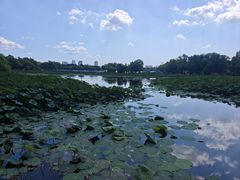 -长春市南湖公园