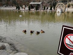 -五龙山野生动物王国
