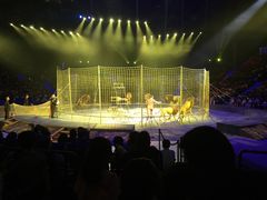 -珠海横琴长隆《卡卡虎奇遇记》