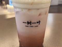 -一树一叶·福建茶档(石鼓路店)