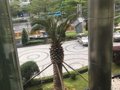 -圣丰索菲特·2 On 988 Café 自助餐厅