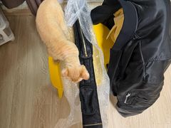 -悦宠凯宝动物医院·牙科·皮肤科(朝阳北路店)