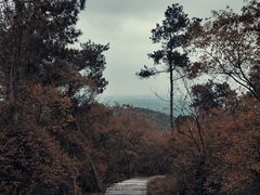 -游子山休闲旅游区